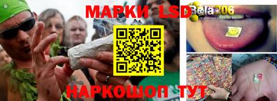 прущий лед Донецк