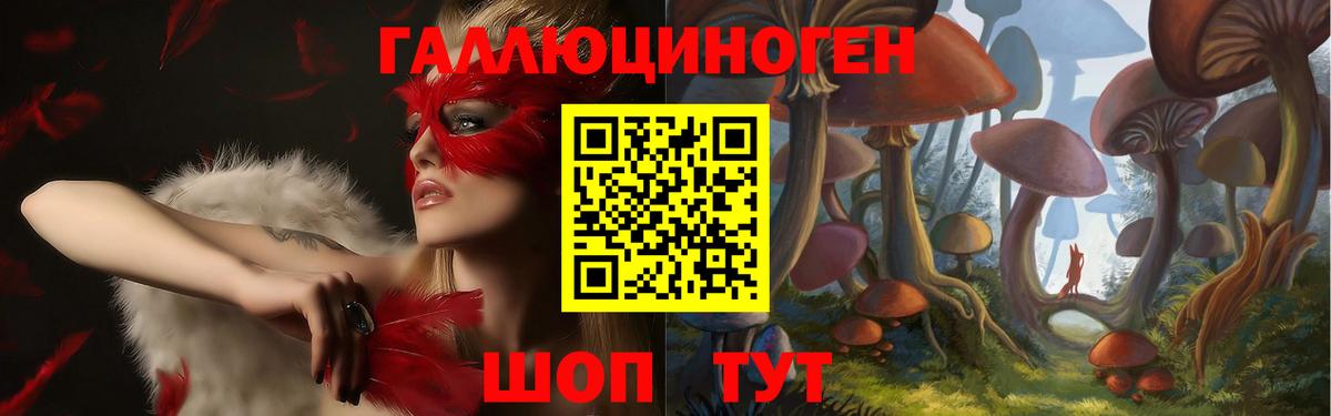 Можайск  Псилоцибиновые грибы GOLDEN TEACHER  Вход с VPN 